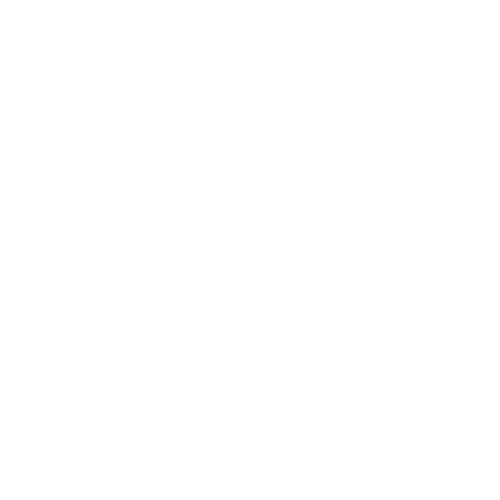 windows & doors Icon white