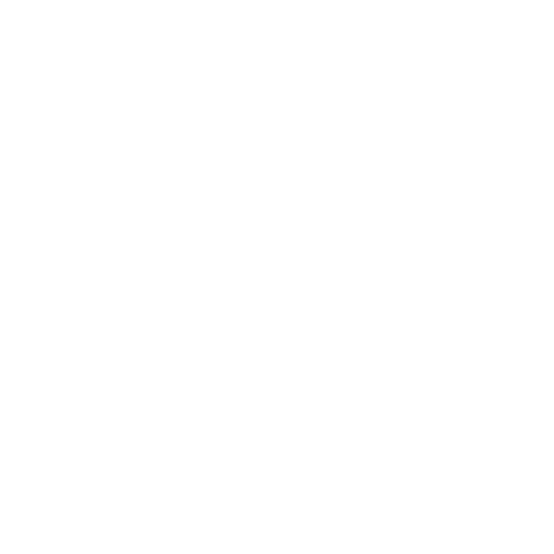 Roofing repair Icon White