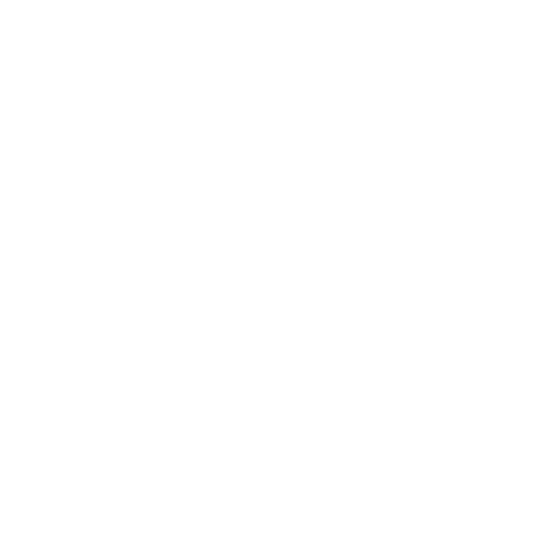 windows & doors repair Icon white