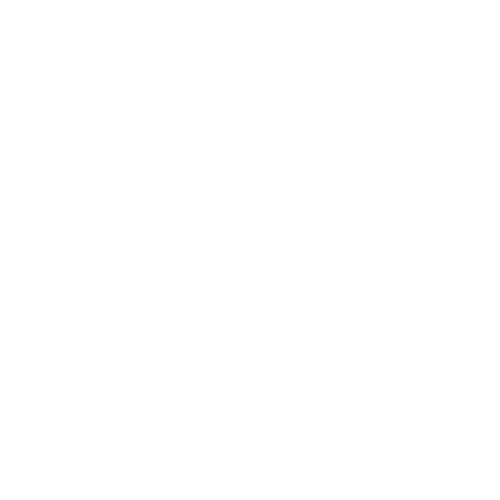 Deck & Patio repair Icon white