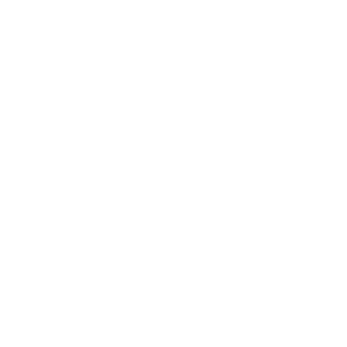 Interior & Exterior repair icon white<br />
