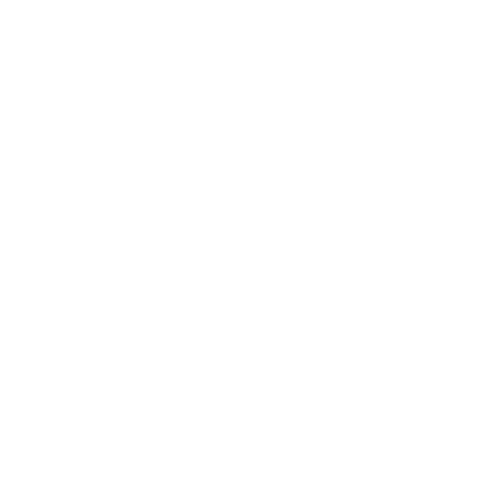 house contruction Icon white