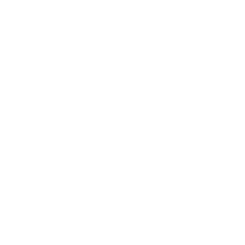 house framing Icon white